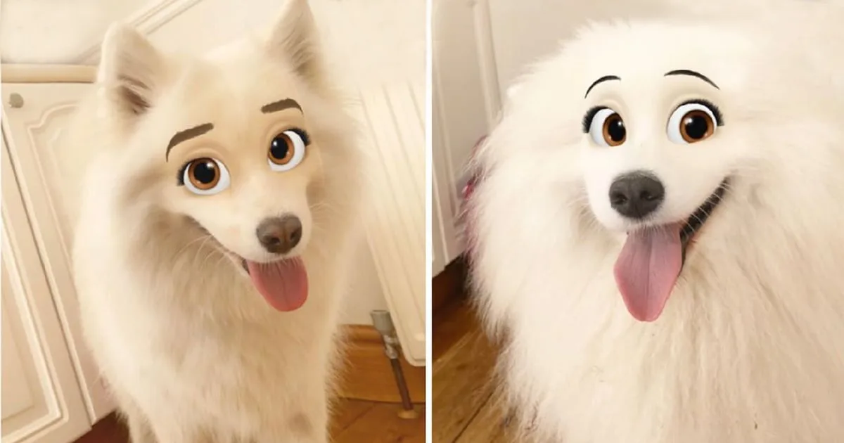Disney princess augmented reality for dogs