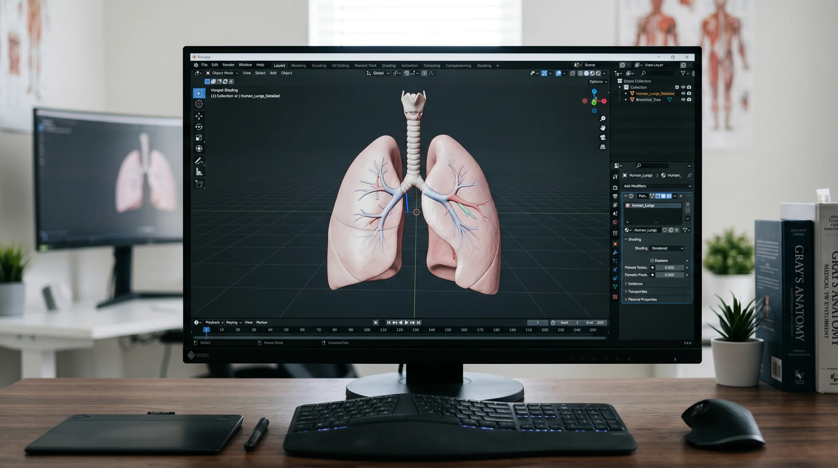 Computer monitor showing realistic 3D model of human lungs in Blender.